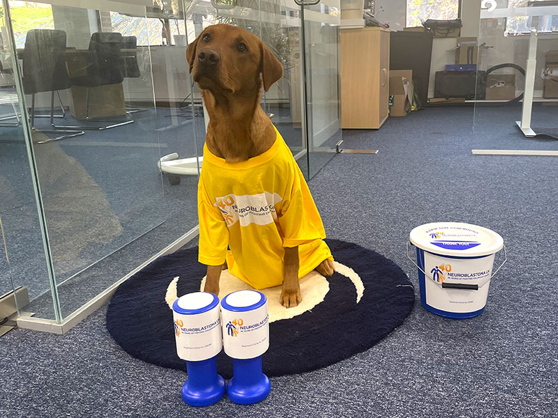 office dog in support of charity of the year at solent stevedores